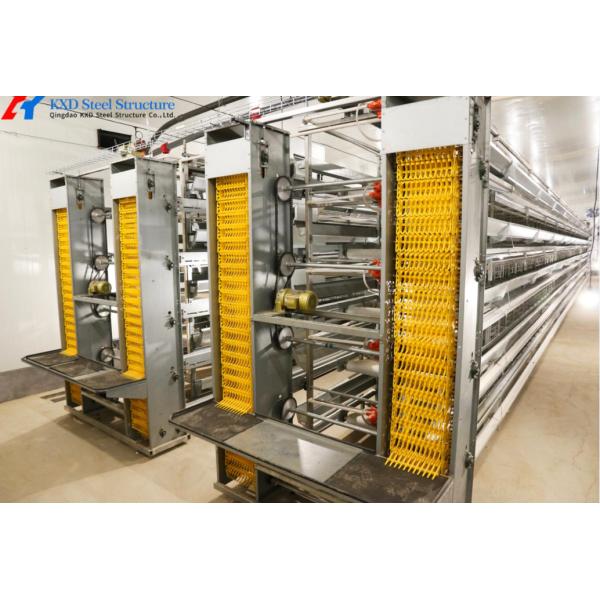 Modern Poultry Cage Customized Hot Dip Galvanized Steel Layer Poultry Cages