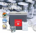China Customizable Vaccine Cooler Box ISO9001 Ice Box For Vaccine for sale