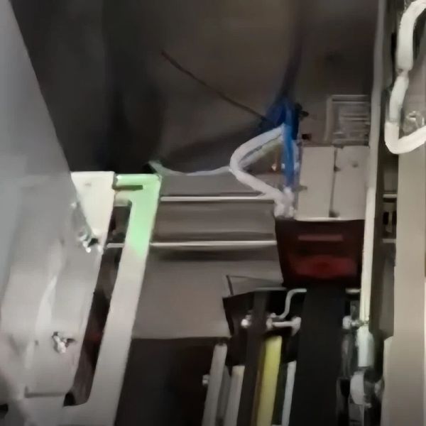 Double Disk Premade Pouch Packing Machine Counting Premade Pouch Filling Sealing Machine 2.6KW