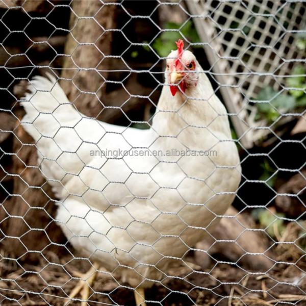 Agriculture Field Hot Dipped Galvanized Steel Wire Mesh Hinge Joint Fence for Cattle