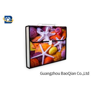 Lenticular Plastic Envelope Folder , Expanding Document Folder 3D UV Printing
