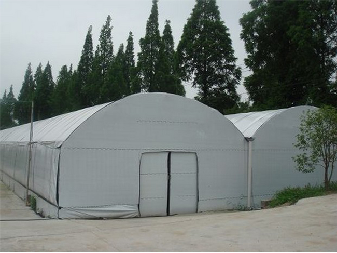 Electrical Control Mushroom Growing Greenhouse With Hot Galvanizing Pipe Structure