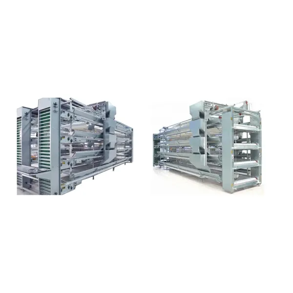 Automatic H Type Battery Layer Chicken Cage System with Fully Automatic Operation, Hot-Dip Galvanized Steel, and H-Type Layered Design for Poultry