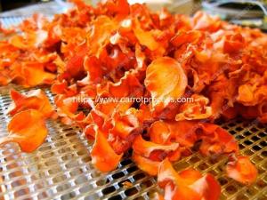 China Full Automatic Dehydrated Carrot Chips Production Line on sale