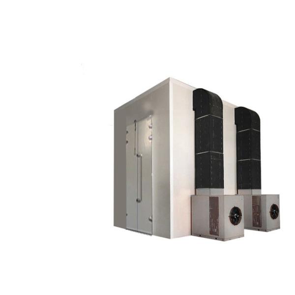 Air Energy Oven Low Energy Belt Drying Equipment In Fruit Mango Kiwi Cherry