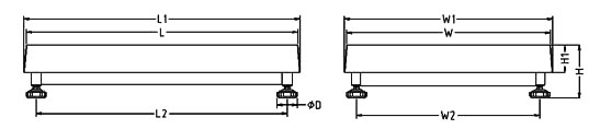 Carbon Steel Structure Platform Weighing Scale, Electronic Bench Scale with IP65
