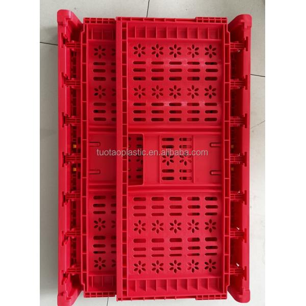 Stackable Tomato Crates Mesh Fruit Packaging for Agriculture Storage PE/PP Material