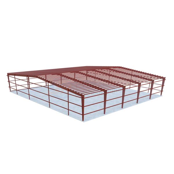 Customizable Large Span Light Steel Frame Building with Galvanized Coating and Design