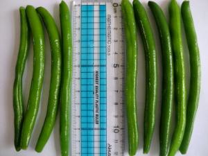 Buy cheap IQF Frozen Green Beans S , M Size product