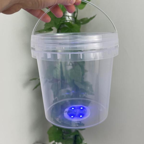 China Plastic Bucket Factory Supply Mini Clear Plastic Container Pail