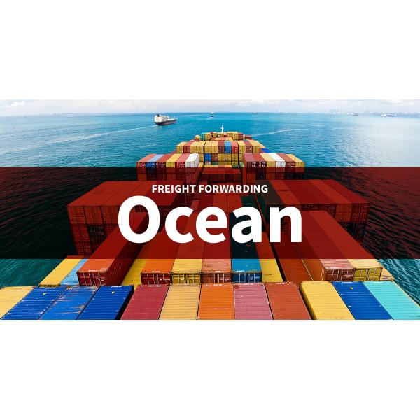 OEM International Ocean Freight Shipping Rates From China To Australia Mexico Netherlands