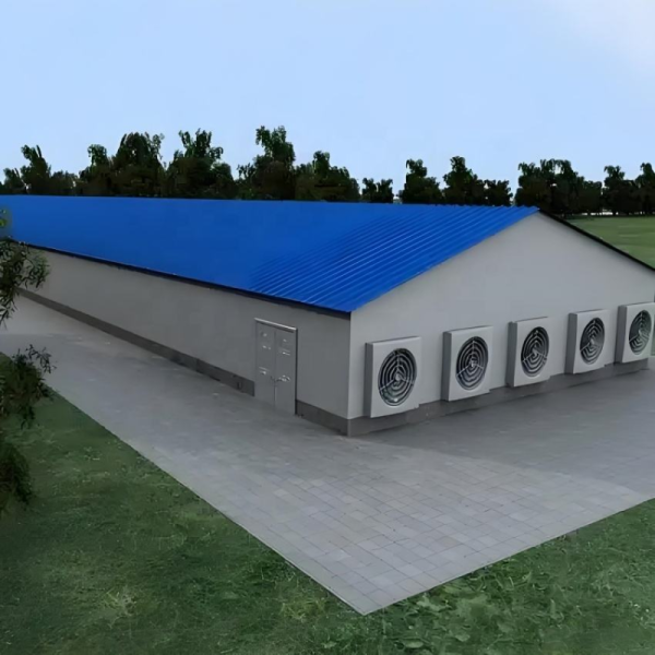 Smart Climate Control High-Efficiency Poultry House with Automated Feeding & Watering for Chicken Farms