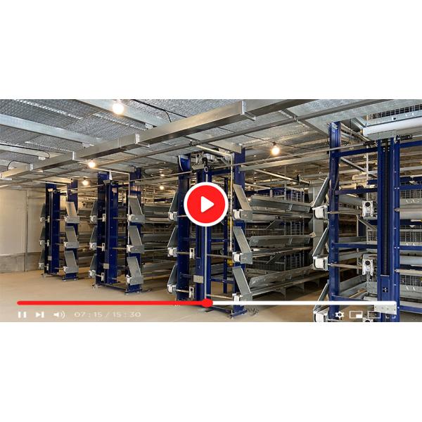 Top Quality H Frame Automatic Chicken Layer Cage Electric Layer Cages