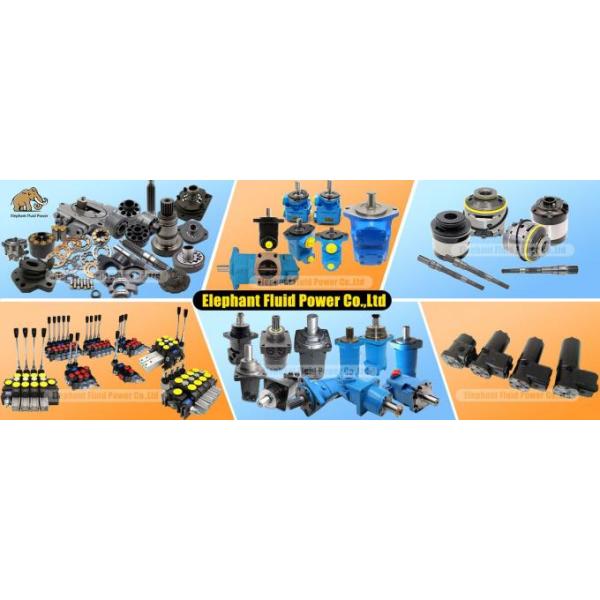 Aftermarket Service Rexroth Hydraulic Pump Parts A2FO Series Excavator