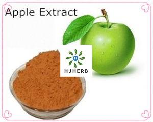 Apple cider vinegar powder Apple powder supplier herbextract-powder.com