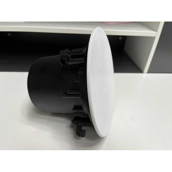 40W 100V 8-inch Commercial Audio Coaxial Speaker Public Address System Iron OEM ODM Customization