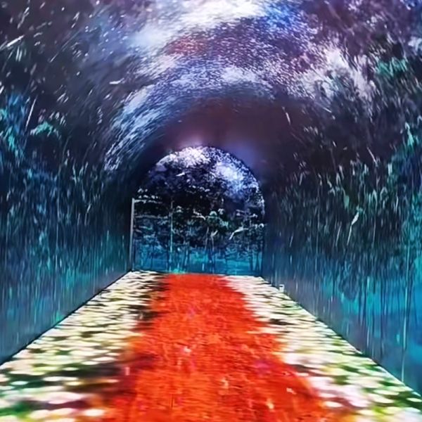 Immersive Flexible Curved LED Videos Walls Display 3D Interactive Tunnel LED Screen