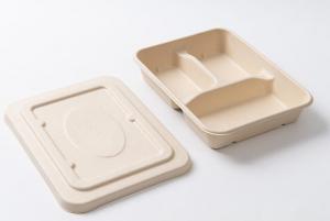 China One Time Use Dinner Plate Biodegradable Food Containers Compostable on sale