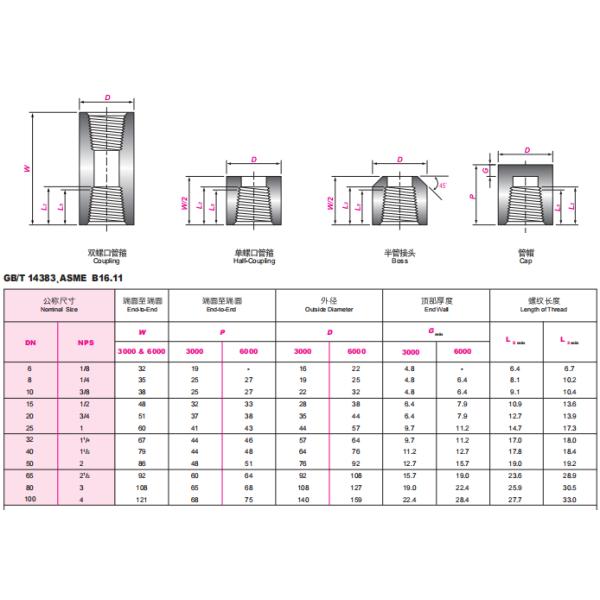 Stainless Steel Forged Fitting ASME SA105 B16.11 3000 NPT Half Coupling With B16.11 Standard