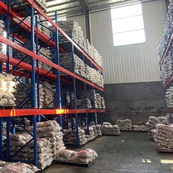 Adjustable Shelves Pallet Storage Rack for Warehouse Pallet Rack and Cold Storage