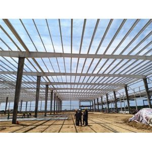 Simple Steel Frame For Warehouse Plant