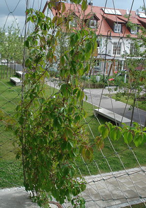 Stainless Steel Wire Rope Mesh For Cable Mesh Zoo Fence / Plant Climbing Forest Net