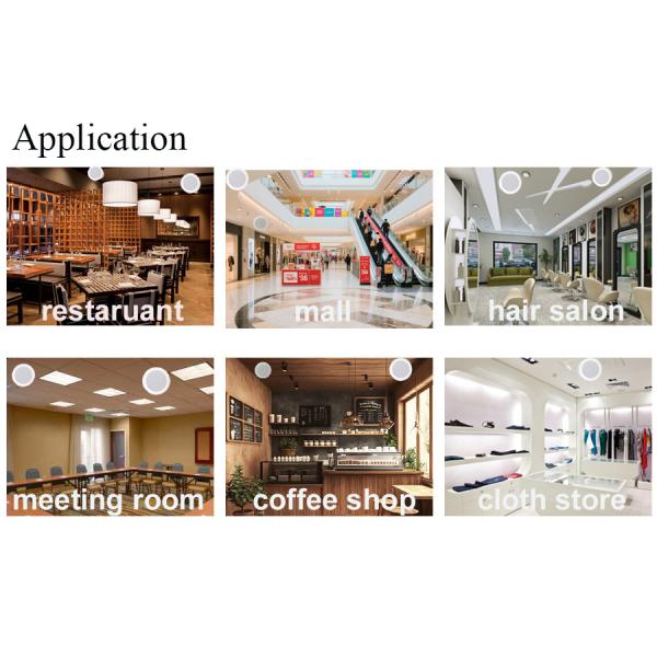 100V Flush Ceiling Speakers 8 Inch 6W Flush Mount In Wall Speakers