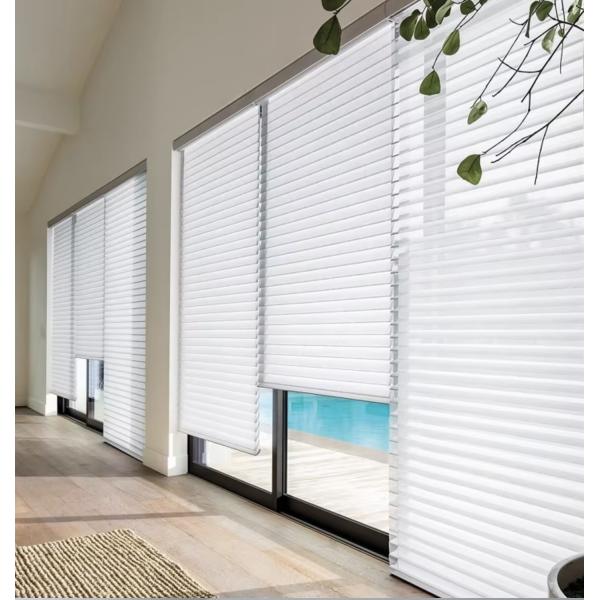 Windproof Blackout Light Colored Blackout Curtains Motorised Window Shades Shutter 100% Polyester