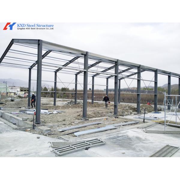 Steel Structure Poultry Shed for Broilers and Layers