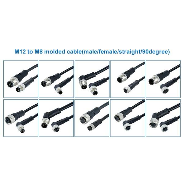 M12 Male / Female Aviation Socket 3/4/5/6/8/12/17-Core Pinhole Connector With Molded Rubber Core
