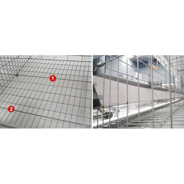 Modern Steel Poultry House Chicken Egg Collection System For Laying Hen
