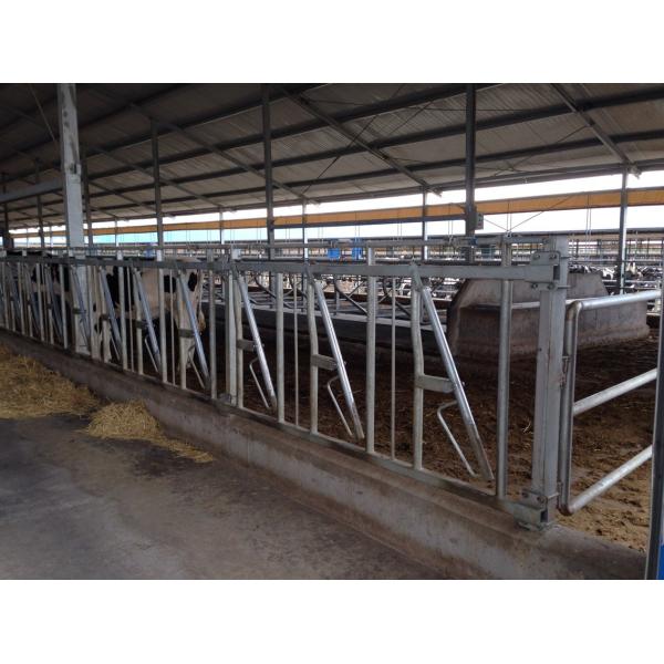 Anti Rust Self Locking Head Gates , Portable Livestock Fence Panels