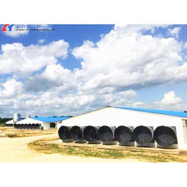 Weather Resistant Steel Chicken Coop with Fast Installation and Modular Structure for Poultry Farming
