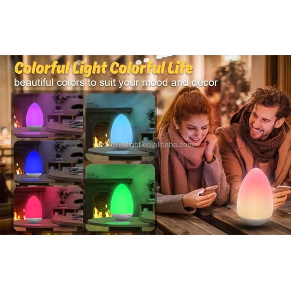 Remote Control Dimmable Portable Table Lamp with 2700K Warm White LED Mood Lighting