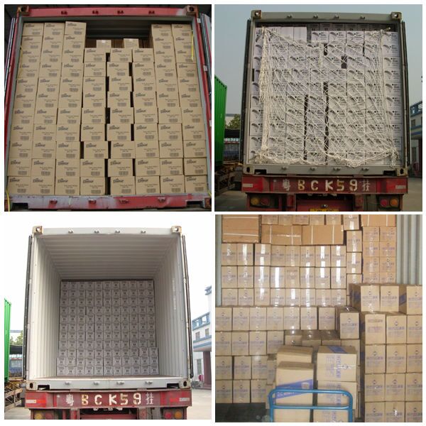 Tire repair spray tubless tyre fix inflator Tire Pump Sealer tyre fix inflator