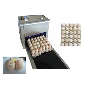 Automatic Egg Code Printing Machine , Small Character Inkjet Coder For Eggs