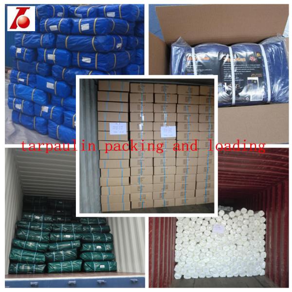 Clear plastic tarpaulin,clear mesh fabric tarpaulin