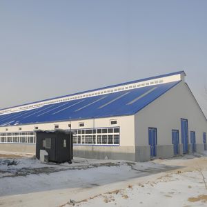 Buy cheap Dairy Agricultural Steel Framed Building Easy Install Prefabricated Light Steel from wholesalers