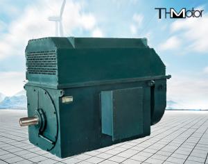 China 941 Rpm 400kw to 6000kw 3 Phase Induction High Voltage Electric Motors 6kv on sale