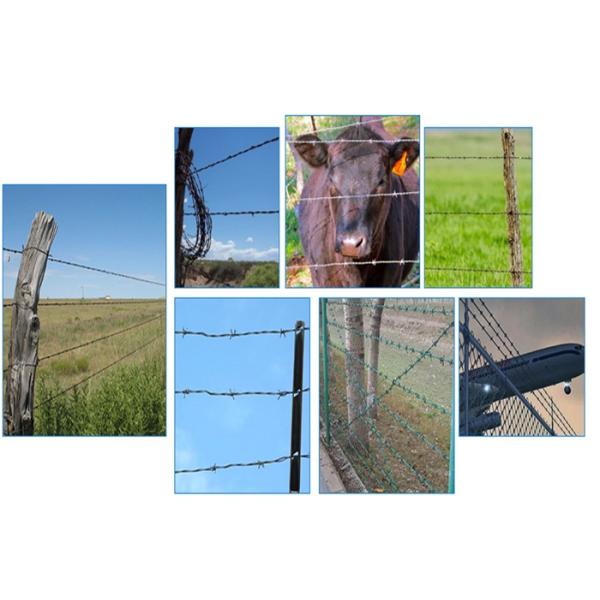 14 Gauge Galvanized Railway Razor Barbed Wire