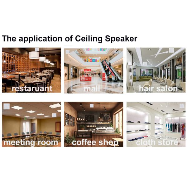 8-inch 40W Coaxial Speaker Passive Loudspeaker High Quality PA System