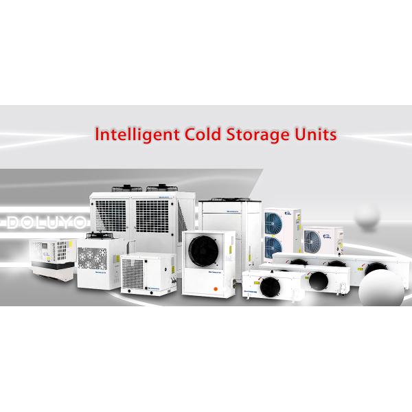 DCF030AM Electronic expansion valve control cooling fast, high efficiency SCROLLTECH CONDENSING UNIT + UNIT COOLER