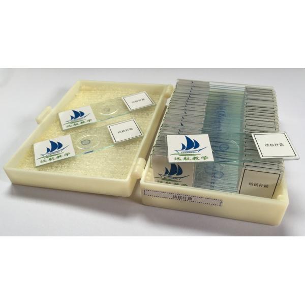 Medical Education Used Fixed Plant Leaf Prepared Microscope Slides Set