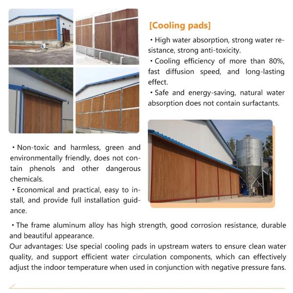 Galvanized Light Steel Frames Broiler Chicken House with Low Maintenance Required and Modular/Panelized Installation Poultry Farming Equipment