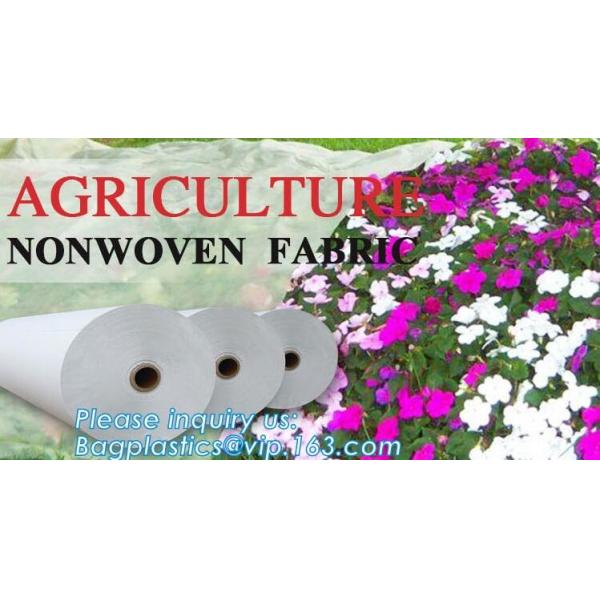 Non-Woven Vegetation Antifreeze Plant Drawstring Shrub Cold Jacket Garden Protection Bag Winter Tree Protective Cover