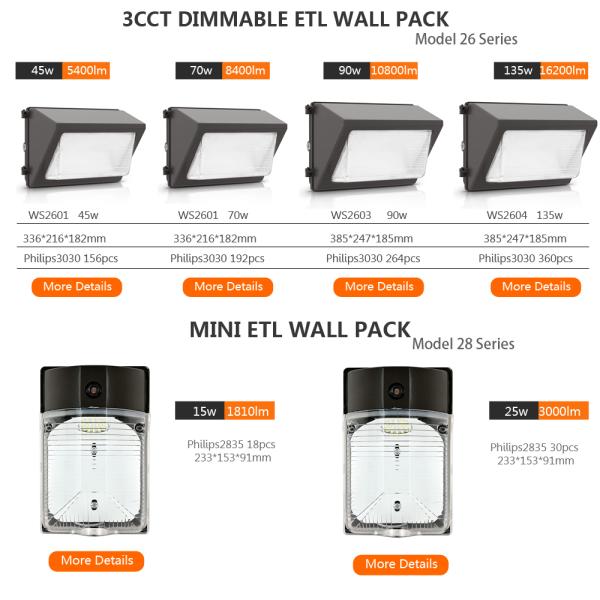 Customized Solar Outdoor Wall Lights Hanging Up And Down Wall Light 110V