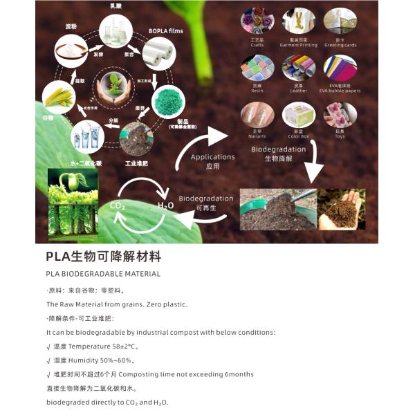 Christmas Plant Cellulose Biodegradable Glitter For Face Hexagonal High Degradation
