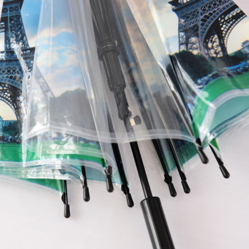 Cute Full Coverage Dome See Through Umbrella , Durable Clear Bubble Umbrella