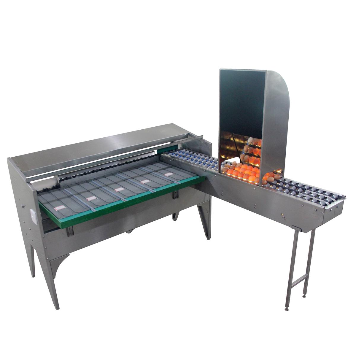 Stainless Steel Material 5 Grade Egg Sorter Grading and Candling Machine