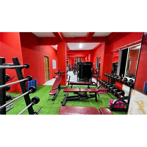Commercial Home Gym Equipment Body Build Motorized Electric Walking Treadmill